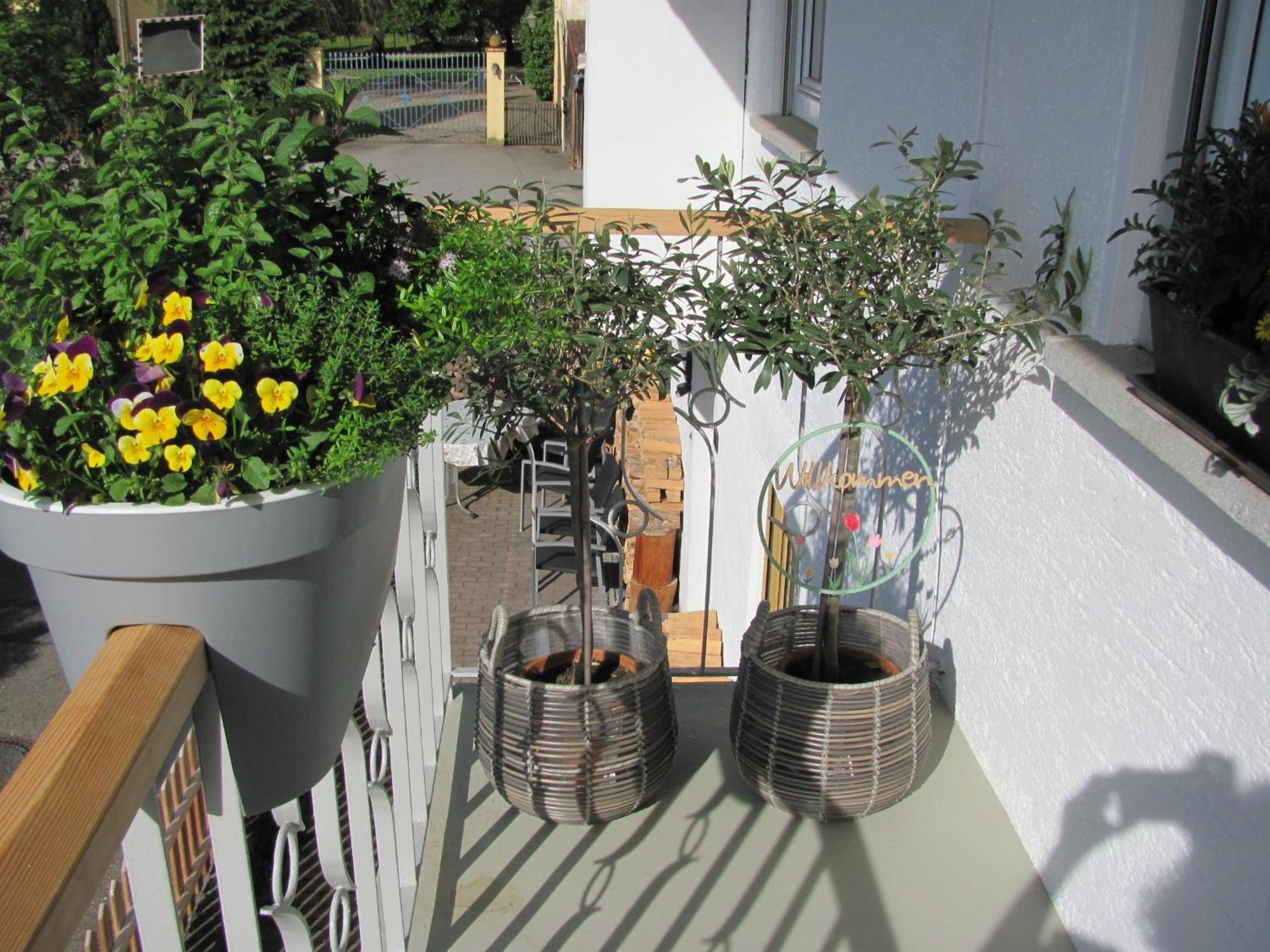 #1Gemuetliches Ruhiges Sonniges Balkonzimmer Mit Gemeinschaftsbad W-Lan Airport Nah Late Night Check In Haus Nr 9,5 Trunkelsberg 외부 사진